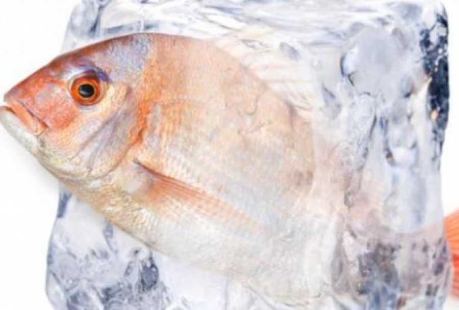 Ψάρια: Οι διατροφικοί κίνδυνοι κατά την απόψυξη
